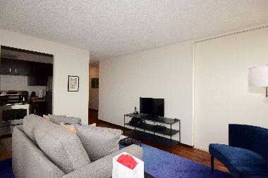 Apartamento de vacaciones en Chicago (Illinois)Casa de vacaciones