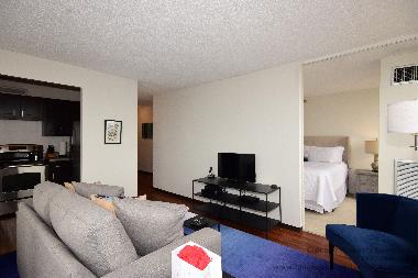Apartamento de vacaciones en Chicago (Illinois)Casa de vacaciones
