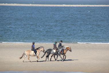 Casa de vacaciones en Renesse (Zeeland)Casa de vacaciones