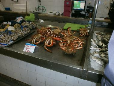 Casa de vacaciones en olhao (Algarve)Casa de vacaciones