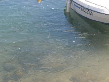 Casa de vacaciones en olhao (Algarve)Casa de vacaciones