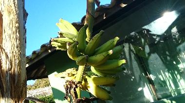 Casa de vacaciones en itacimirim (Bahia)Casa de vacaciones