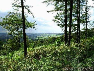 Apartamento de vacaciones en Gemmenich (Wallonia)Casa de vacaciones