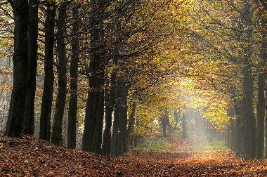 Apartamento de vacaciones en Gemmenich (Wallonia)Casa de vacaciones