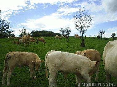 Apartamento de vacaciones en Gemmenich (Wallonia)Casa de vacaciones