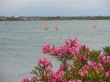 Apartamento de vacaciones en Le Barcares (Pyr�n�es-Orientales)Casa de vacaciones