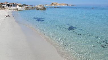 Apartamento de vacaciones en Lumio (Haute-Corse)Casa de vacaciones