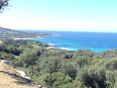 Apartamento de vacaciones en Lumio (Haute-Corse)Casa de vacaciones