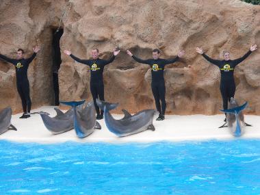 Apartamento de vacaciones en ADEJE (Teneriffa)Casa de vacaciones