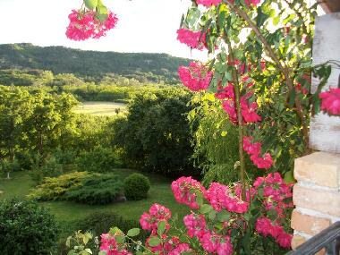 Casa de vacaciones en Roc (Istarska)Casa de vacaciones