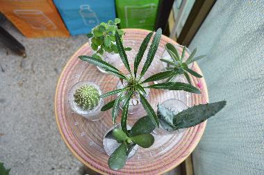 Apartamento de vacaciones en Napoli (Napoli)Casa de vacaciones