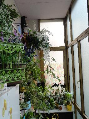 Apartamento de vacaciones en Napoli (Napoli)Casa de vacaciones