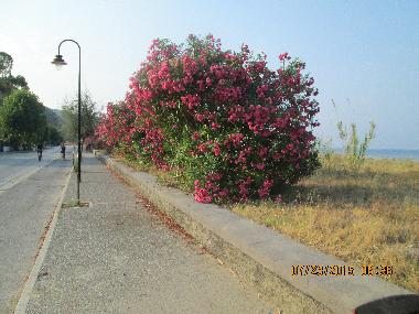 Apartamento de vacaciones en Marina di Ascea (Salerno)Casa de vacaciones