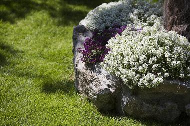 Casa de vacaciones en Duce (Splitsko-Dalmatinska)Casa de vacaciones