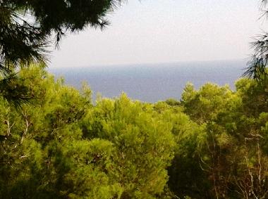 Apartamento de vacaciones en Sant Carles de Peralta (Ibiza)Casa de vacaciones