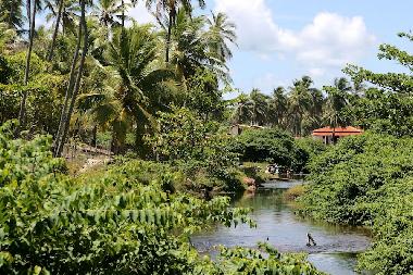 Casa de vacaciones en Imbassai (Bahia)Casa de vacaciones