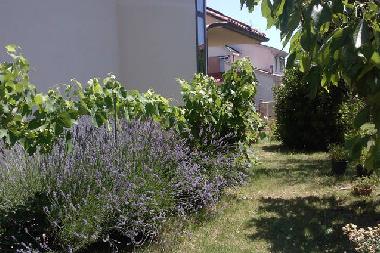 Apartamento de vacaciones en Cavriglia (Arezzo)Casa de vacaciones