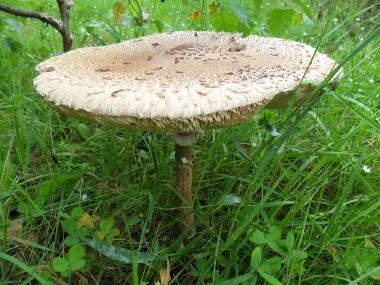 Apartamento de vacaciones en Benshausen (Thringer Wald)Casa de vacaciones