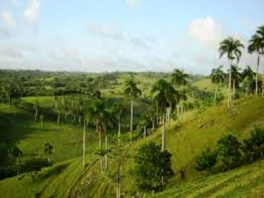 Casa de vacaciones en RIO SAN JUAN (Maria Trinidad Sanchez)Casa de vacaciones