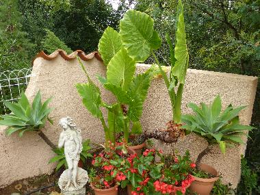 Casa de vacaciones en MONTESQUIEU-DES-ALBERES  (Pyr�n�es-Orientales)Casa de vacaciones