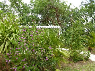 Casa de vacaciones en MONTESQUIEU-DES-ALBERES  (Pyr�n�es-Orientales)Casa de vacaciones