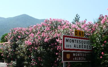 Casa de vacaciones en MONTESQUIEU-DES-ALBERES  (Pyr�n�es-Orientales)Casa de vacaciones