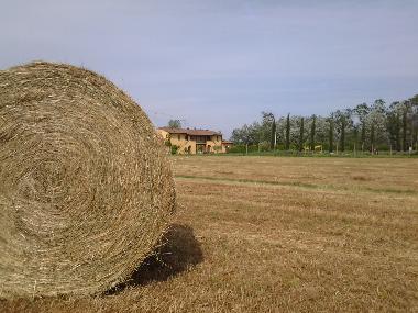 Apartamento de vacaciones en Latignano di Cascina (Pisa)Casa de vacaciones