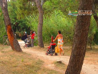 Apartamento de vacaciones en Pineto (Teramo)Casa de vacaciones