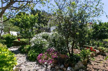 Apartamento de vacaciones en Dubrovnik (Dubrovacko-Neretvanska)Casa de vacaciones