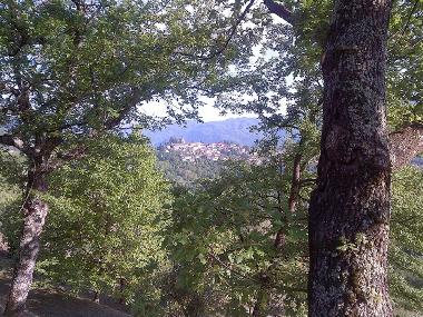 Casa de vacaciones en Barga (Lucca)Casa de vacaciones