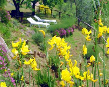 Casa de vacaciones en Barga (Lucca)Casa de vacaciones