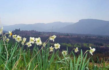 Casa de vacaciones en Barga (Lucca)Casa de vacaciones