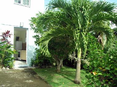 Apartamento de vacaciones en Anses d´Arlet (Martinique)Casa de vacaciones