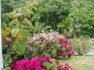 Apartamento de vacaciones en Anses d´Arlet (Martinique)Casa de vacaciones