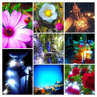 Cama y desayuno en Castejn de las Armas (Zaragoza)Casa de vacaciones