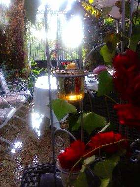 Cama y desayuno en Castejn de las Armas (Zaragoza)Casa de vacaciones