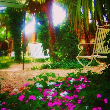 Cama y desayuno en Castejn de las Armas (Zaragoza)Casa de vacaciones
