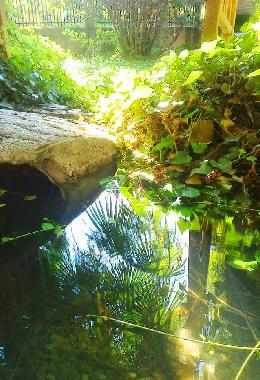 Cama y desayuno en Castejn de las Armas (Zaragoza)Casa de vacaciones