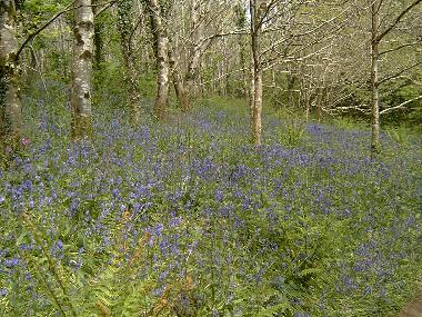 Casa de vacaciones en Carbis Bay (South West)Casa de vacaciones