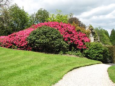 Casa de vacaciones en Carbis Bay (South West)Casa de vacaciones