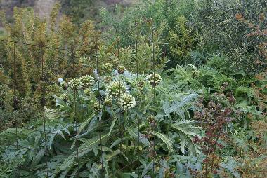 Casa de vacaciones en kritinia (Dodekanisos)Casa de vacaciones