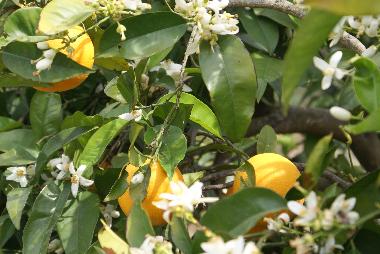 Casa de vacaciones en kritinia (Dodekanisos)Casa de vacaciones