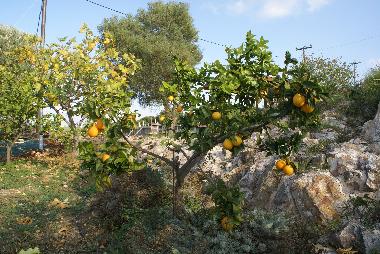Casa de vacaciones en kritinia (Dodekanisos)Casa de vacaciones