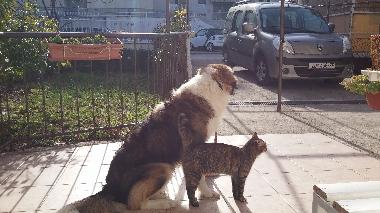 Apartamento de vacaciones en Split (Splitsko-Dalmatinska)Casa de vacaciones