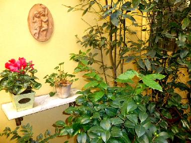 Apartamento de vacaciones en FLORENCE (Firenze)Casa de vacaciones