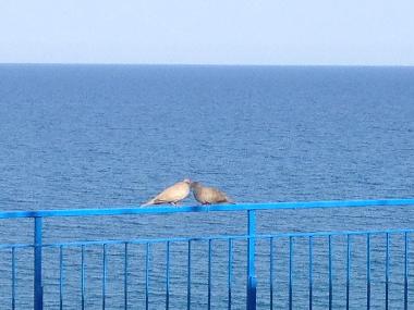 Apartamento de vacaciones en Montegiordano Marina (Cosenza)Casa de vacaciones