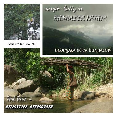 Casa de vacaciones en BULATHKOHUPITIYA  (Kegalla)Casa de vacaciones