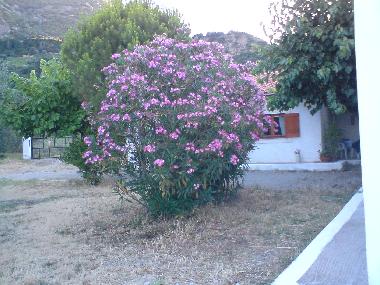 Casa de vacaciones en Selianitika (Korinthia)Casa de vacaciones