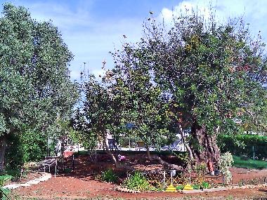 Villa en Albufeira (Algarve)Casa de vacaciones