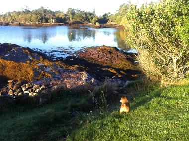 Casa de vacaciones en Tahilla (Kerry)Casa de vacaciones